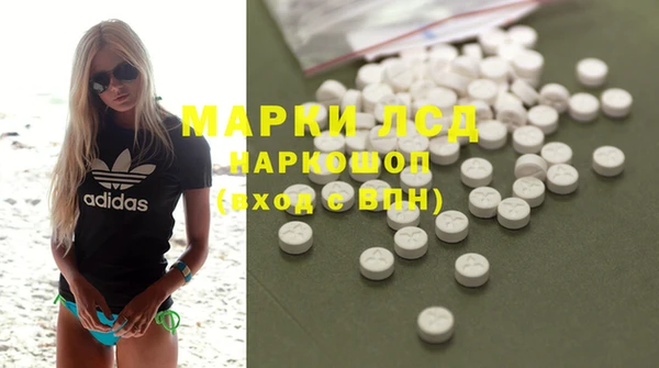 крисы Горняк