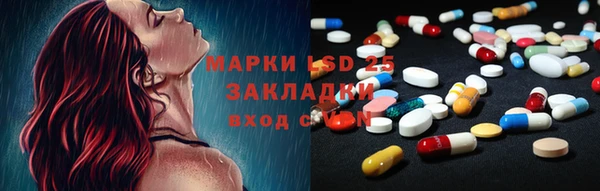 крисы Горняк