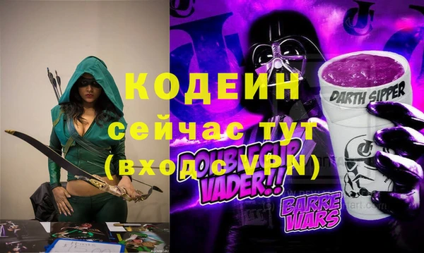 крисы Горняк