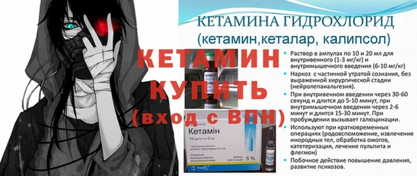 крисы Горняк