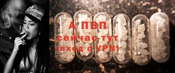 крисы Горняк