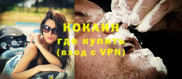 крисы Горняк