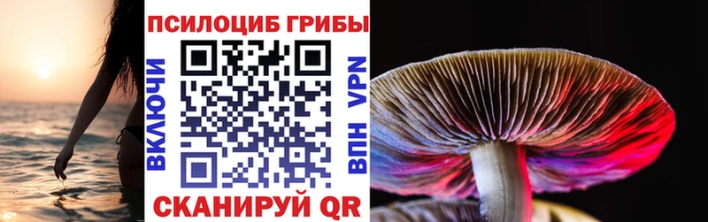Псилоцибиновые грибы мицелий  кракен ссылки  Могоча  где можно купить  